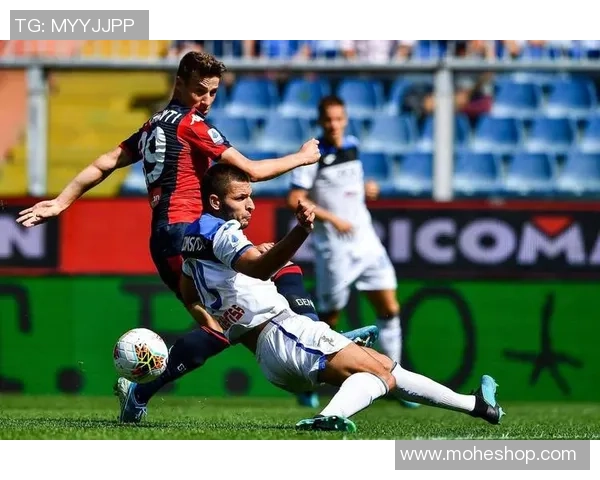 萨勒尼塔纳与阿维利诺的激烈对决展现意乙联赛的精彩魅力与竞争态势