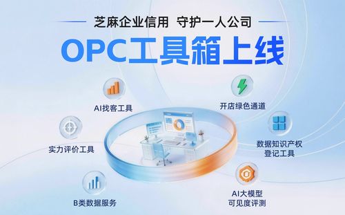 一个人怎么撑起一家公司 570万营收背后的数字化生存样本